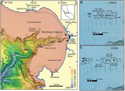 Linking Direct Measurements of Turbidity Currents to Submarine Canyon-Floor Deposits